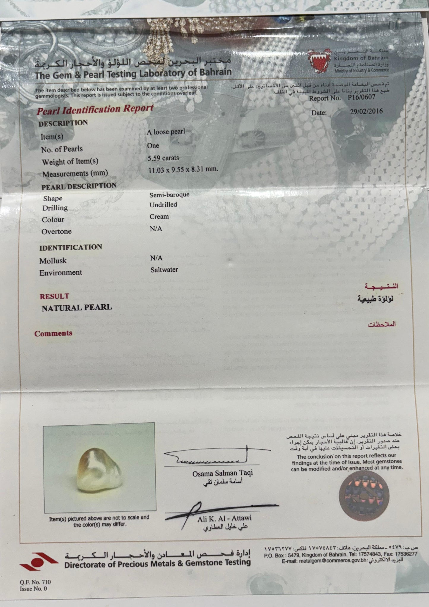 Real Natural Pearl 5.59 Carat Bahrain Lab Certified P16/0607