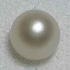Real Natural Pearl  0.87 Carat Danat Lab Certified 133961/ Hirco Certificate No: 0500122487