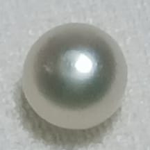 Real Natural Pearl 0.79 Carat Danat Lab Certified 133792/ Hirco Certificate No: 0400022479