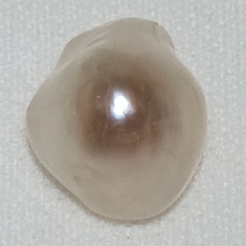 Real Natural Pearl 5.59 Carat Bahrain Lab Certified P16/0607