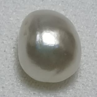 Real Natural Pearl 2.98 Carat Danat Lab Certified 133807/ Hirco Certificate No: 0500062498