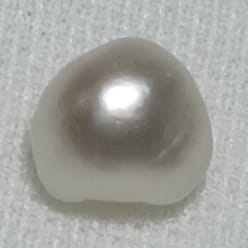 Real Natural Pearl 1.88 Carat Danat Lab Certified 133872/ Hirco Certificate No: 0400252488
