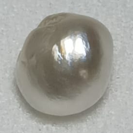 Real Natural Pearl 1.71 Carat Hirco Lab Certified 0600012571