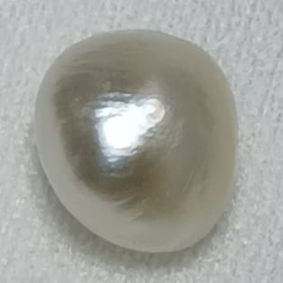 Real Natural Pearl 2.64 Carat Hirco Lab Certificate No: 1100082564