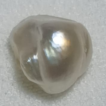 Real Natural Pearl 2.64 Carat Danat Lab Certified 133951/ Hirco Certificate No: 0400222464