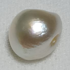 Real Natural Pearl 2.68 Carat Hirco Lab Certified 0600012568