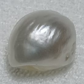 Real Natural Pearl 1.50 Carat Hirco Lab Certificate No: 1100132550