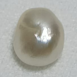 Real Natural Pearl 1.45 Carat Danat Lab Certified 133787/ Hirco Certificate No: 0500022445