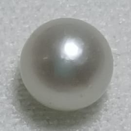 Real Natural Pearl 1.21 Carat Danat Lab Certified 133991/ Hirco Certificate No: 0500132421