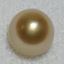 Real Natural Pearl 0.66 Carat Danat Lab Certified 133976/ Hirco Certificate No: 0400042466