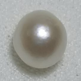 Real Natural Pearl 1.30 Carat Danat Lab Certified 133782/ Hirco Certificate No: 0400082430