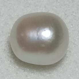 Real Natural Pearl 1.49 Carat Danat Lab Certified 109981