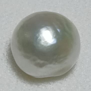 Real Natural  Pearl 6.83 Carat Bahrain Lab Certified 09/3335