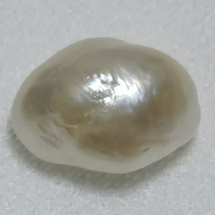 Real Natural Pearl 3.12 Carat Hirco Lab Certificate No: 1100052512