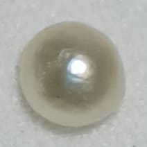 Real Natural Pearl 0.68 Carat Danat Lab Certified 134030/ Hirco Certificate No: 0500102468