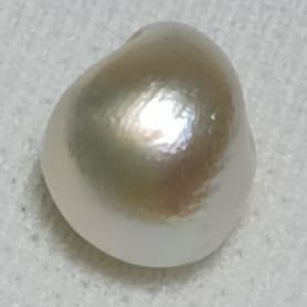 Real Natural Pearl 2.68 Carat Hirco Lab Certified 0600012568
