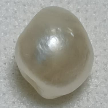 Real Natural Pearl 2.27 Carat Danat Lab Certified 133963/ Hirco Lab Certificate No: 0500062427