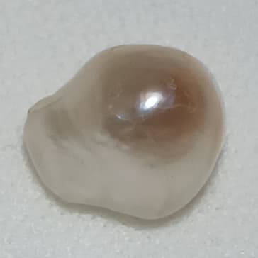Real Natural Pearl 5.59 Carat Bahrain Lab Certified P16/0607