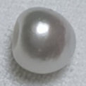 Real Natural Pearl 0.95 Carat Danat Lab Certificate No: 141869