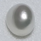 Real Natural Pearl 1.26 Carat Danat Lab Certificate No: 141877